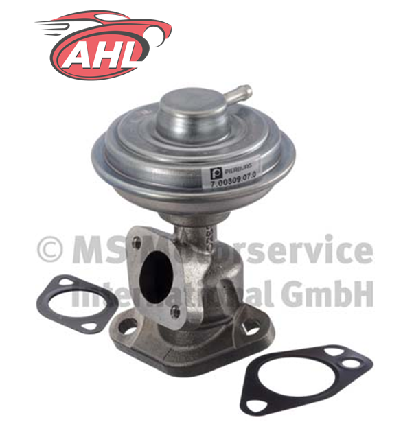 PIERBURG 7.00309.07.0 Vanne EGR pour Audi VW 