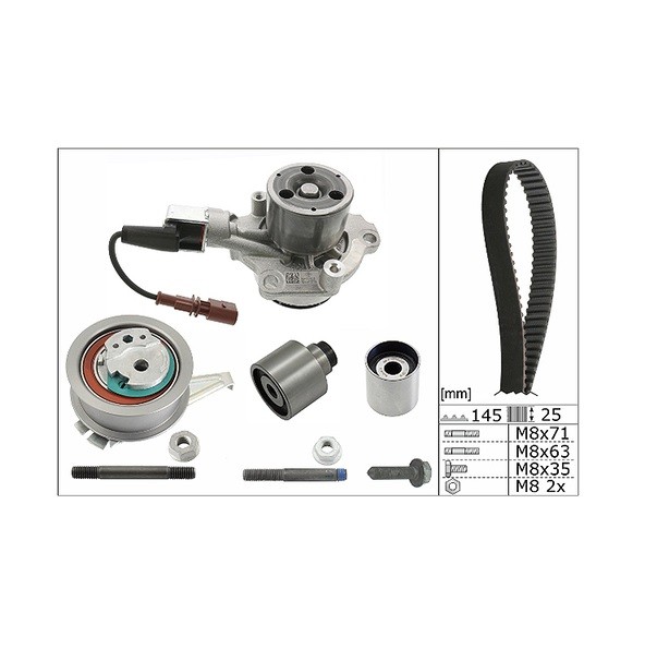 INA 530 0650 30 Pompe à eau + kit de courroie de distribution pour AUDI SEAT SKODA VW