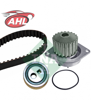 INA 530 0252 30 Pompe à eau + kit de courroie de distribution pour CITROËN PEUGEOT 