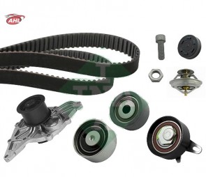INA 530 0416 31 Pompe à eau + kit de courroie de distribution pour VW AUDI SKODA SEAT