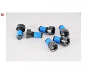 LUK 411 0122 10 Visserie, volant moteur