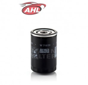 MANN W 719/30 Filtre à huile pour  Audi VW SEAT SKODA