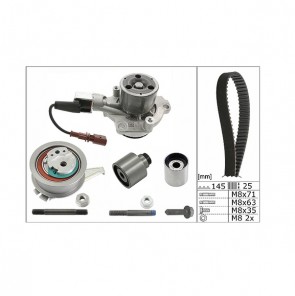 INA 530 0650 30 Pompe à eau + kit de courroie de distribution pour AUDI SEAT SKODA VW